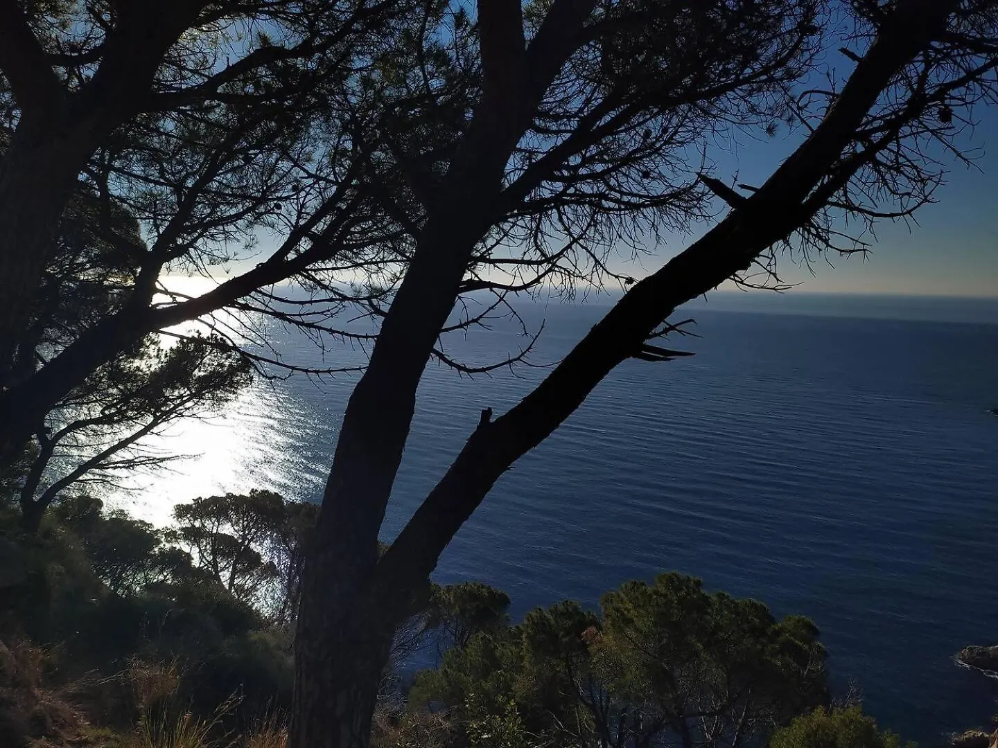 Xalana Con Terraza Y Magnificas Vistas Al Mar Lejlighed Girona